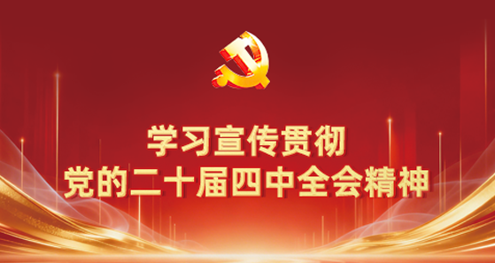 学习宣传贯彻党的二十届四中全会精神