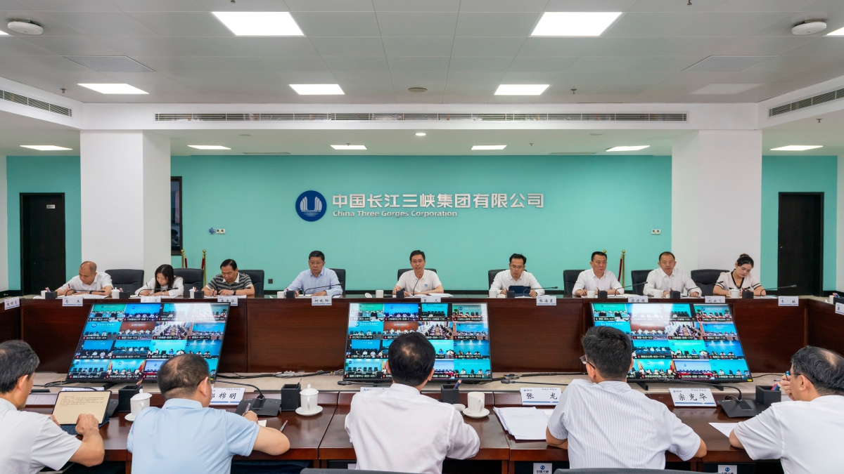三峡集团召开2026年第二次党建工作例会