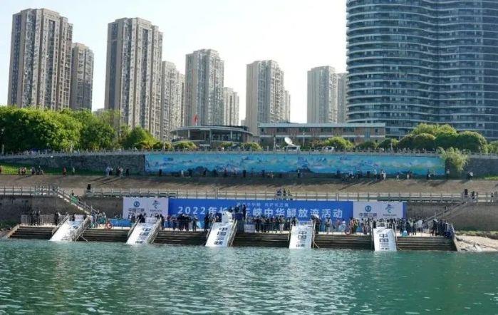 微信图片_20220409212224 微信图片_20220409212224