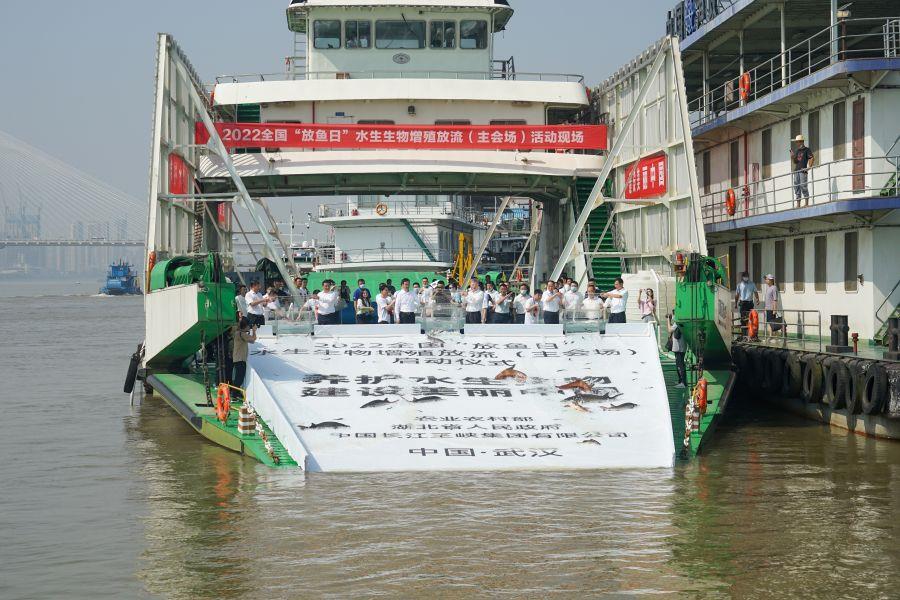 放流现场 摄影:陈磊(1) 放流现场 摄影:陈磊(1)